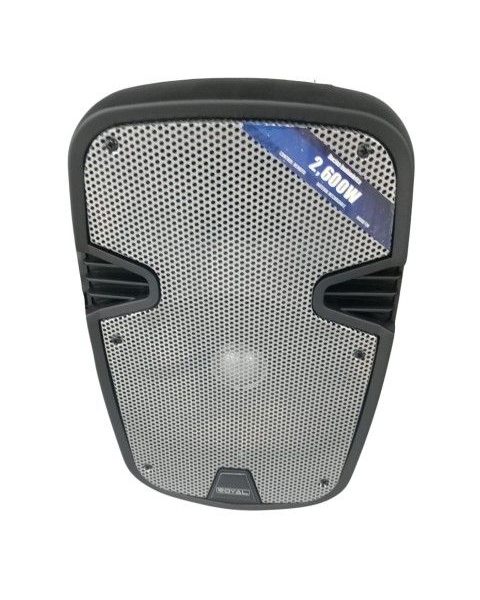PARLANTE 26W BT USB FM MIC ROYAL