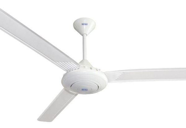 VENTILADOR TECHO 56" BLANCO ROYAL